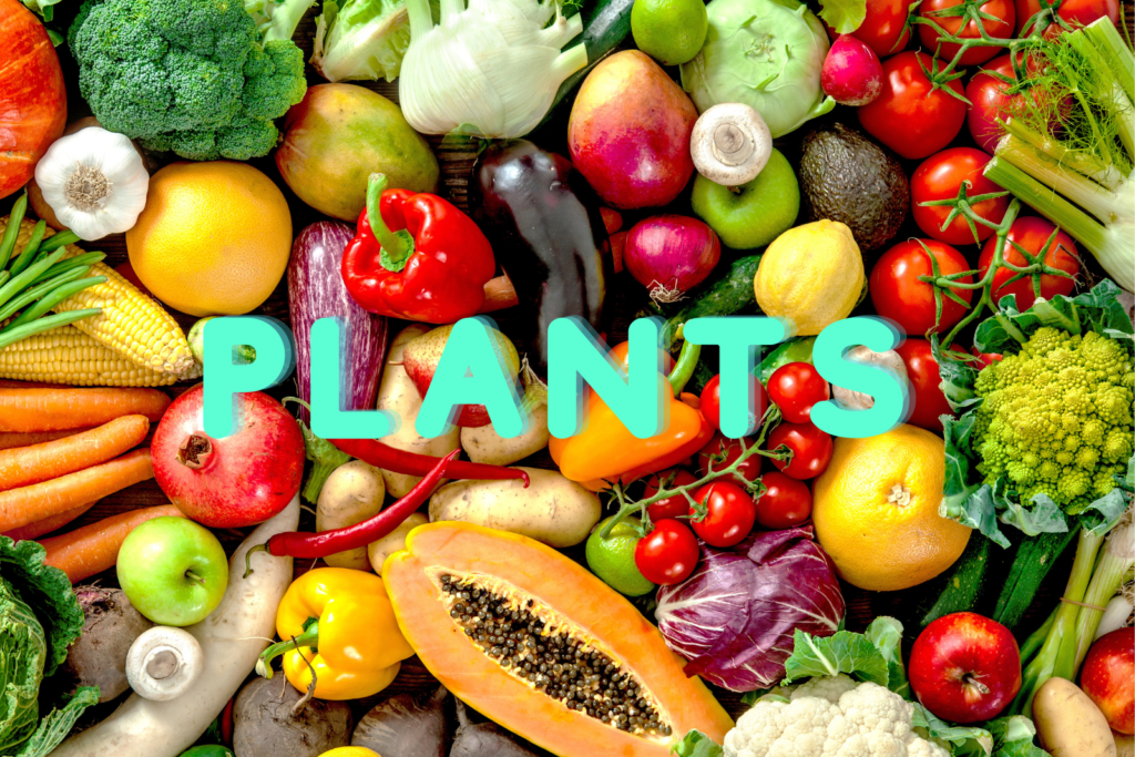 Eat Plants Everyday at Shawn Velasquez blog